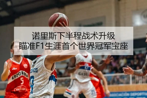 诺里斯下半程战术升级 瞄准F1生涯首个世界冠军宝座